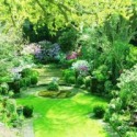 giardino11