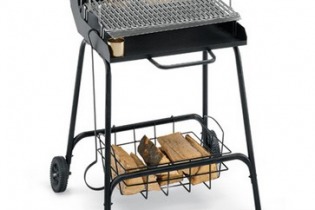 Barbecue a Legna