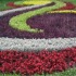 Piante Ornamentali Giardino